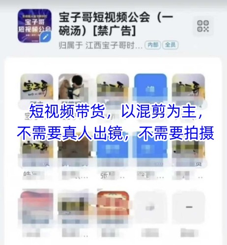 宝子哥头部团队短视频带货，以混剪为主，不需要真人出镜，不需要拍摄【更新11月】力繁信息站-闲云创业网-老谢轻创网-中创网-福缘网-冒泡网-资源之家-魔方项目库力繁信息站