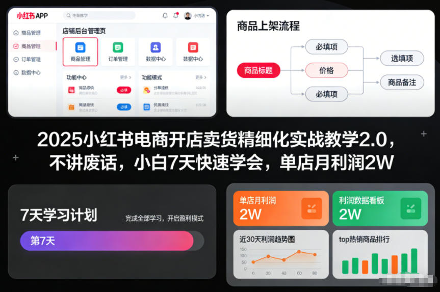 2025小红书电商开店卖货精细化实战教学2.0，不讲废话，小白7天快速学会，单店月利润2W力繁信息站-闲云创业网-老谢轻创网-中创网-福缘网-冒泡网-资源之家-魔方项目库力繁信息站