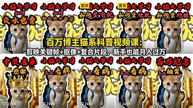 百万博主猫系科普视频课:剪映关键帧+抠像+复合片段,新手也能月入过万力繁信息站-闲云创业网-老谢轻创网-中创网-福缘网-冒泡网-资源之家-魔方项目库力繁信息站