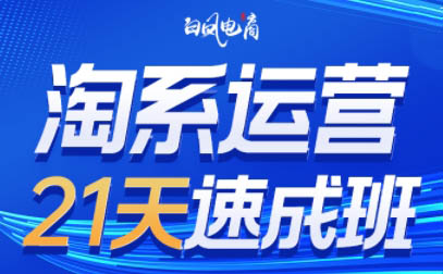 白凤电商·淘系运营21天速成班(更新4月)力繁信息站-闲云创业网-老谢轻创网-中创网-福缘网-冒泡网-资源之家-魔方项目库力繁信息站