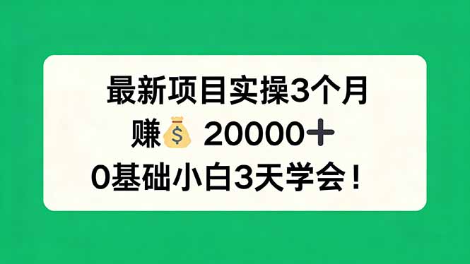 最新项目实操3个月，赚钱20000+，0基础小白3天学会！力繁信息站-闲云创业网-老谢轻创网-中创网-福缘网-冒泡网-资源之家-魔方项目库力繁信息站
