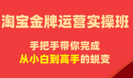 飓风电商·淘宝金牌运营实操班力繁信息站-闲云创业网-老谢轻创网-中创网-福缘网-冒泡网-资源之家-魔方项目库力繁信息站