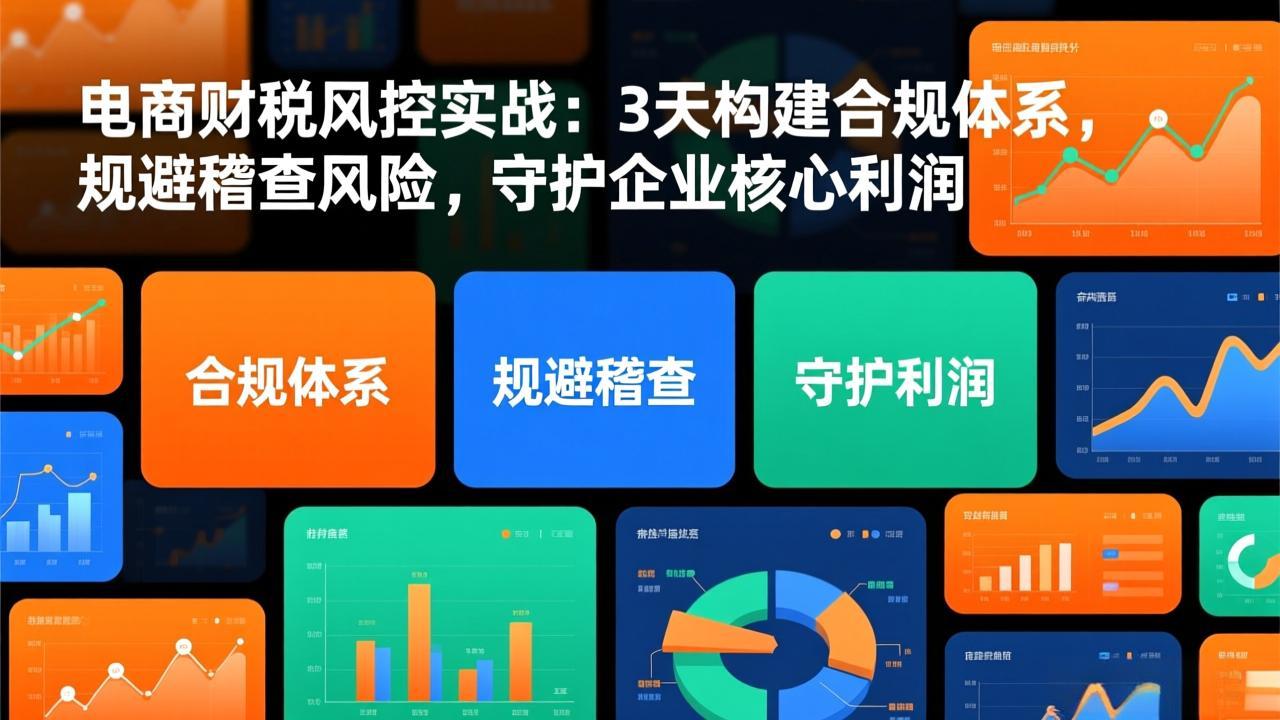 电商财税风控实战：3天构建合规体系，规避稽查风险，守护企业核心利润力繁信息站-闲云创业网-老谢轻创网-中创网-福缘网-冒泡网-资源之家-魔方项目库力繁信息站